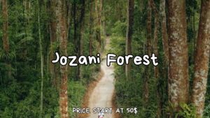 Jozani Forest