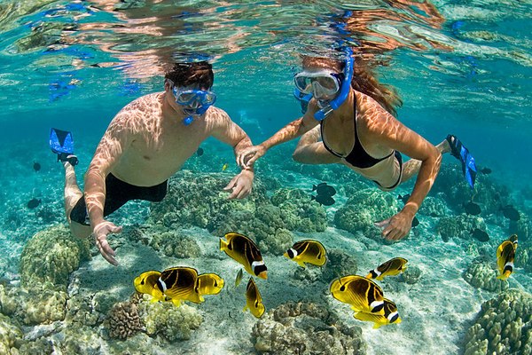 Snorkelin